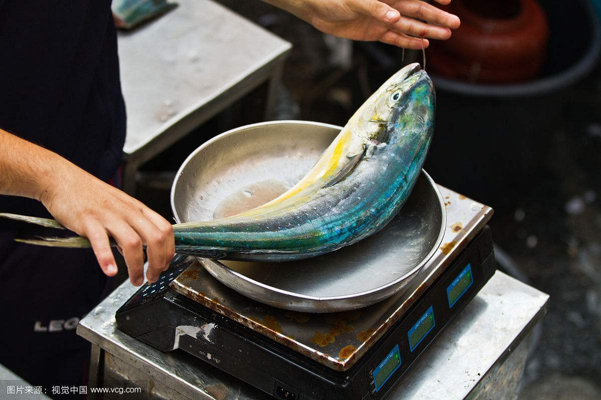 新余魚市電子秤讓秤糾紛,為了2斤魚大打出手賠了900元(圖1) 魚市電子秤